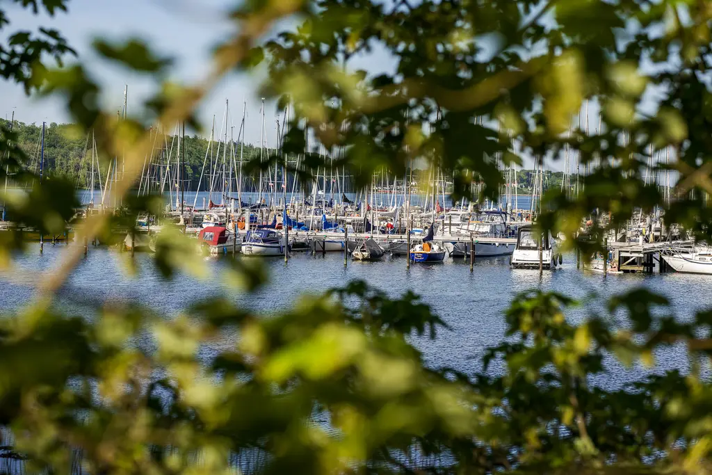 Dünengras am Strand